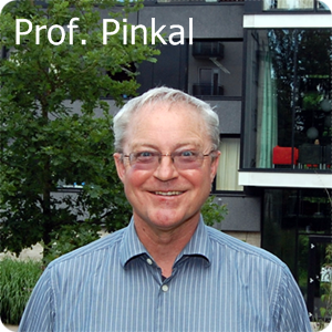 Professor Pinkal
