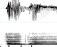 gerundeter offener Vorderzungenvokal