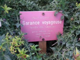 garance voyageuse